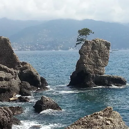 Civico 3 アパート *